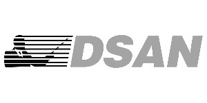 logo D-SAN